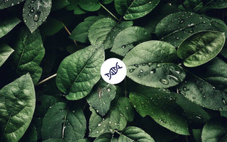 1. Hallmark of Aging: Genomische Instabilität