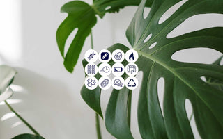 Die Hallmarks of Aging – eine Übersicht