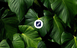 4. Hallmark of Aging: Verlust der Proteostase