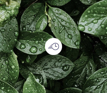 5. Hallmark of Aging: Deregulierte Nährstoffmessung