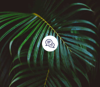 9. Hallmark of Aging: Veränderte interzelluläre Kommunikation