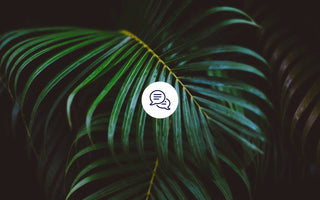 9. Hallmark of Aging: Veränderte interzelluläre Kommunikation