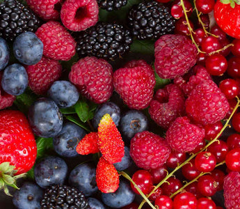 Nahaufnahme verschiedener bunter Beeren – reich an Flavonoiden und natürlichen Antioxidantien
