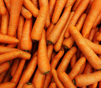 Karotten (reich an Carotinoiden)