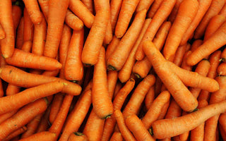 Karotten (reich an Carotinoiden)