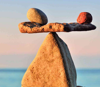 Antioxidantien: Schutzschild oder Risiko? Die richtige Balance für deine Gesundheit