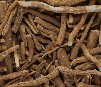 Ashwagandha Wurzel 