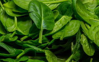 Spinatblätter