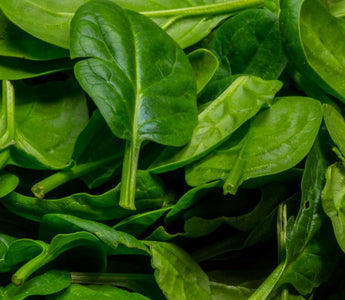 Spinatblätter