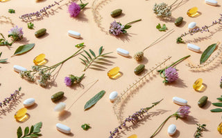 Bryan Johnson’s Blueprint