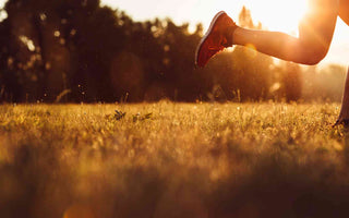 Was ist Coenzym Q10?