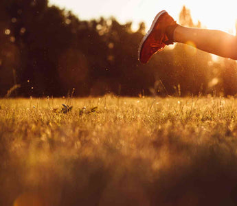 Was ist Coenzym Q10?