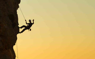 Dave Pascoe – was steckt hinter dem Biohacker?