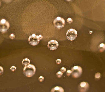 Exosomen entschlüsselt: Die kleinen Vesikel mit großem Longevity-Potential