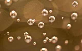 Exosomen entschlüsselt: Die kleinen Vesikel mit großem Longevity-Potential