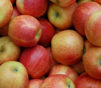 Äpfel