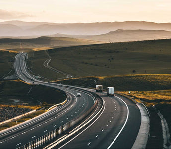 Langlebigkeitspfade – vier molekulare Wege zum Jungbrunnen