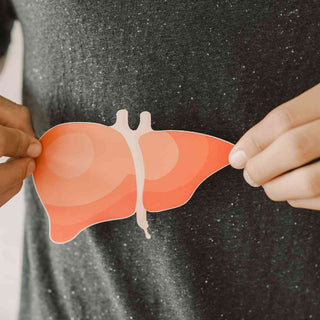 Leber entgiften - Die Rolle von Ernährung und Mikronährstoffen