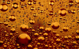 Was sind Phospholipide? - Aufbau, Funktionen und Anwendungen