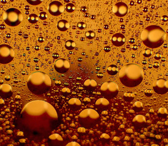 Was sind Phospholipide? - Aufbau, Funktionen und Anwendungen