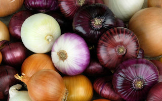 Quercetin: Vorkommen, Lebensmittel und Wissenswertes