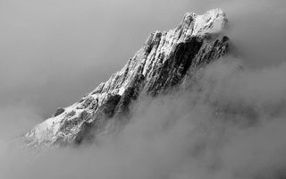 Was ist regeNAD (NAD Regenerating Complex)?