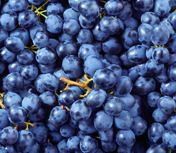 Wie kann ich Resveratrol einnehmen?