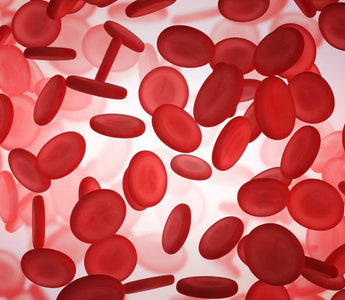 Ferritin und CRP: Warum ein einzelner Blutwert beim Eisenmangel nicht reicht