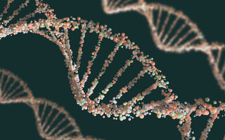 DNA Doppelhelix