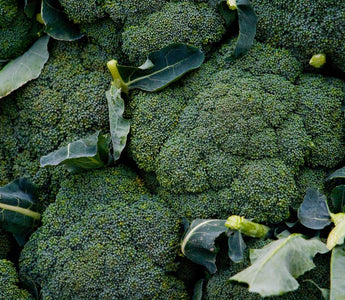 Was ist Sulforaphan?