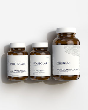 Recovery Bundle