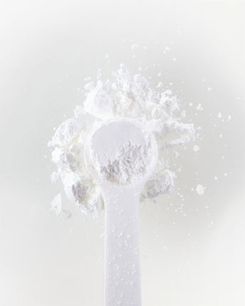 Kaggu Shell Powder Buy CaAKG (Calcium Alpha-Ketoglutarate) Powder - 1000 mg Calcium-AKG ...