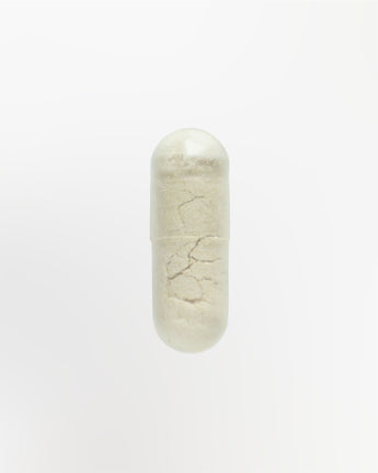 Nattokinase Kapseln