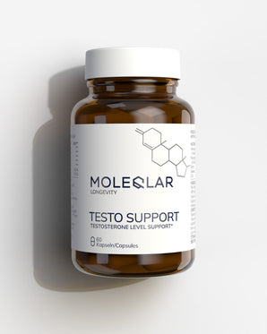 Testo Support