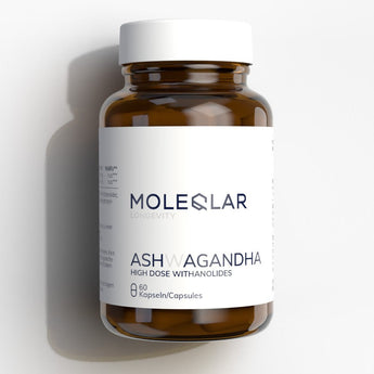 Ashwagandha Kapseln im Glas