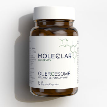Quercetin Kapseln