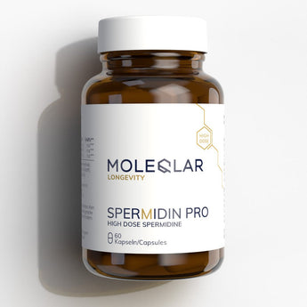 Spermidin Kapseln